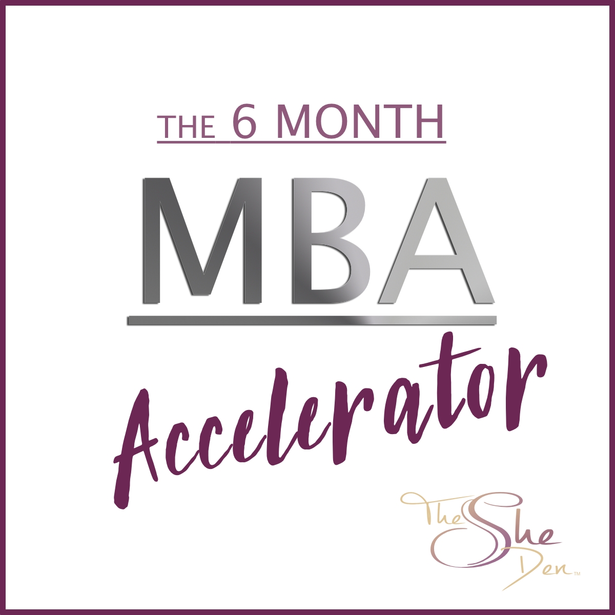 The 6 Month MBA Accelerator Coaching & Mentoring Program