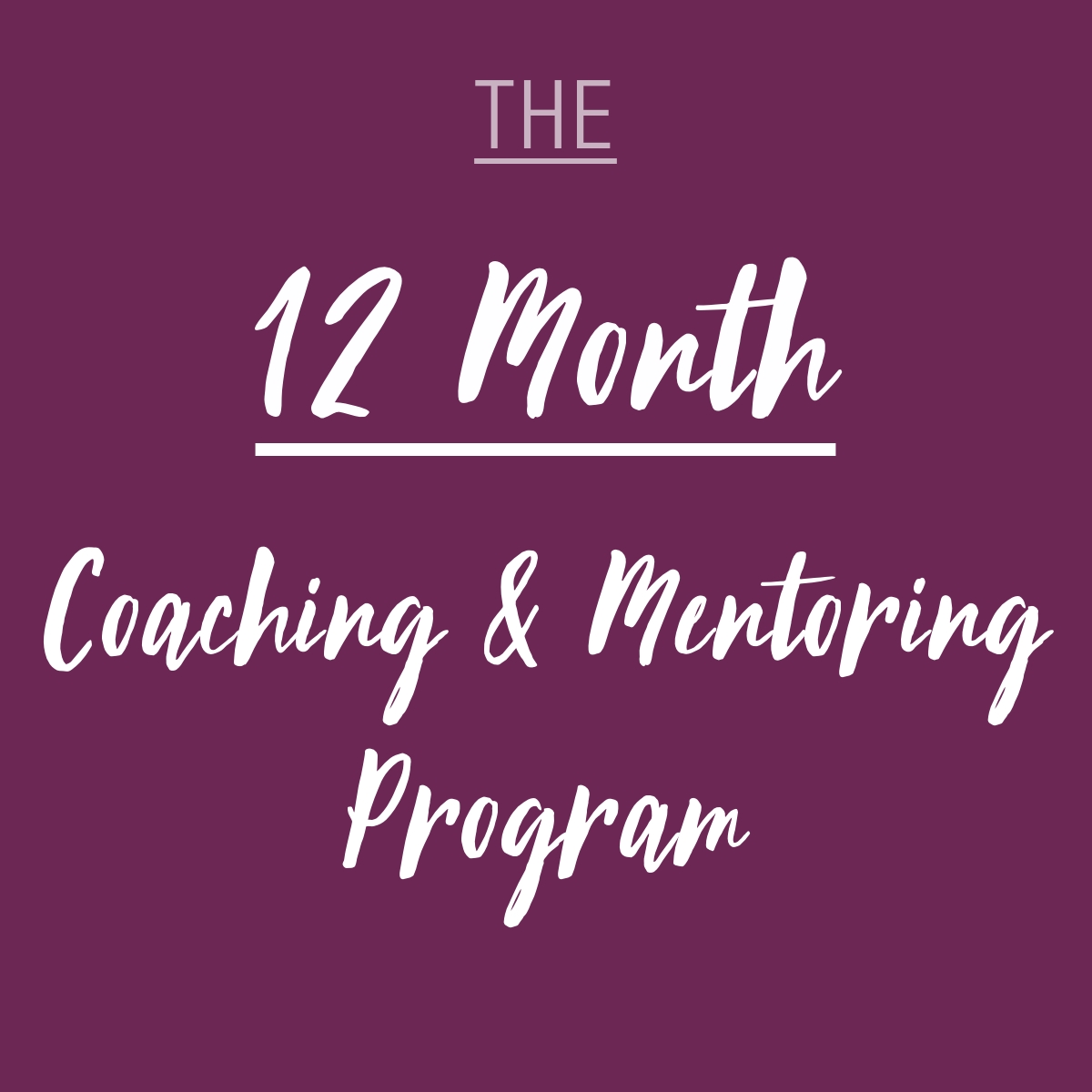 The 12 Month Coaching & Mentoring Program