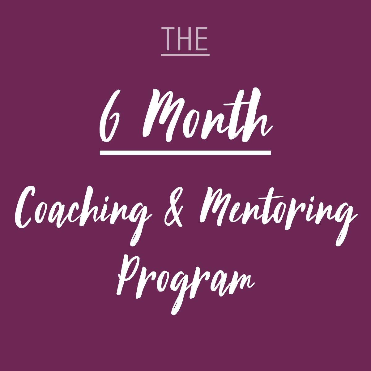 The 6 Month Coaching & Mentoring Program