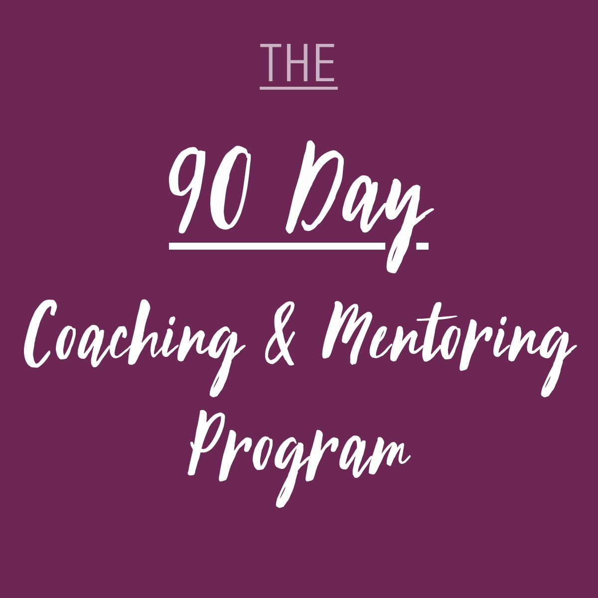The 90 Day Coaching & Mentoring Program