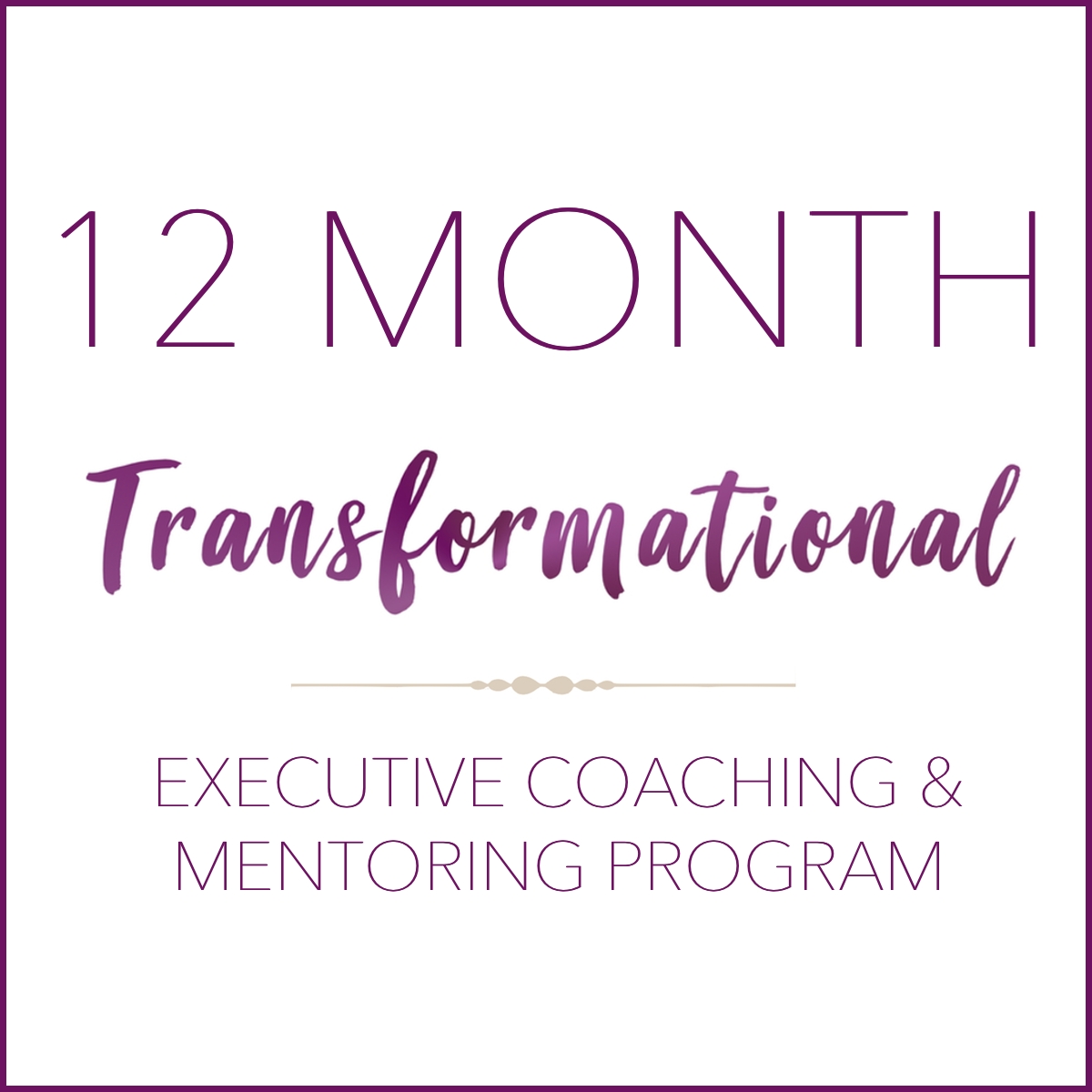 12 Month Transformational Executive Coaching & Mentoring Program