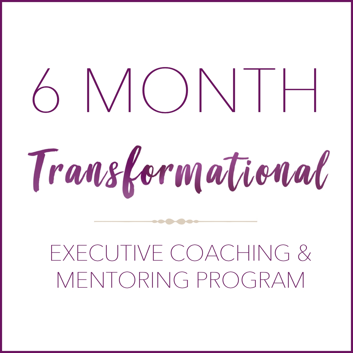 6 Month Transformational Executive Coaching & Mentoring Program