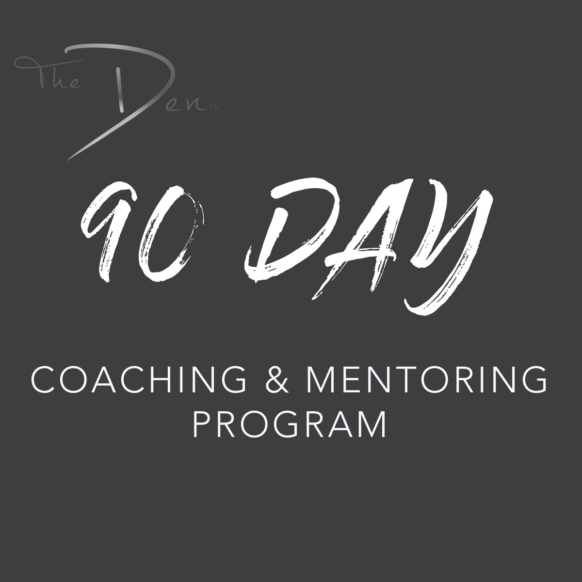 THE DEN 90 Day Coaching & Mentoring Program